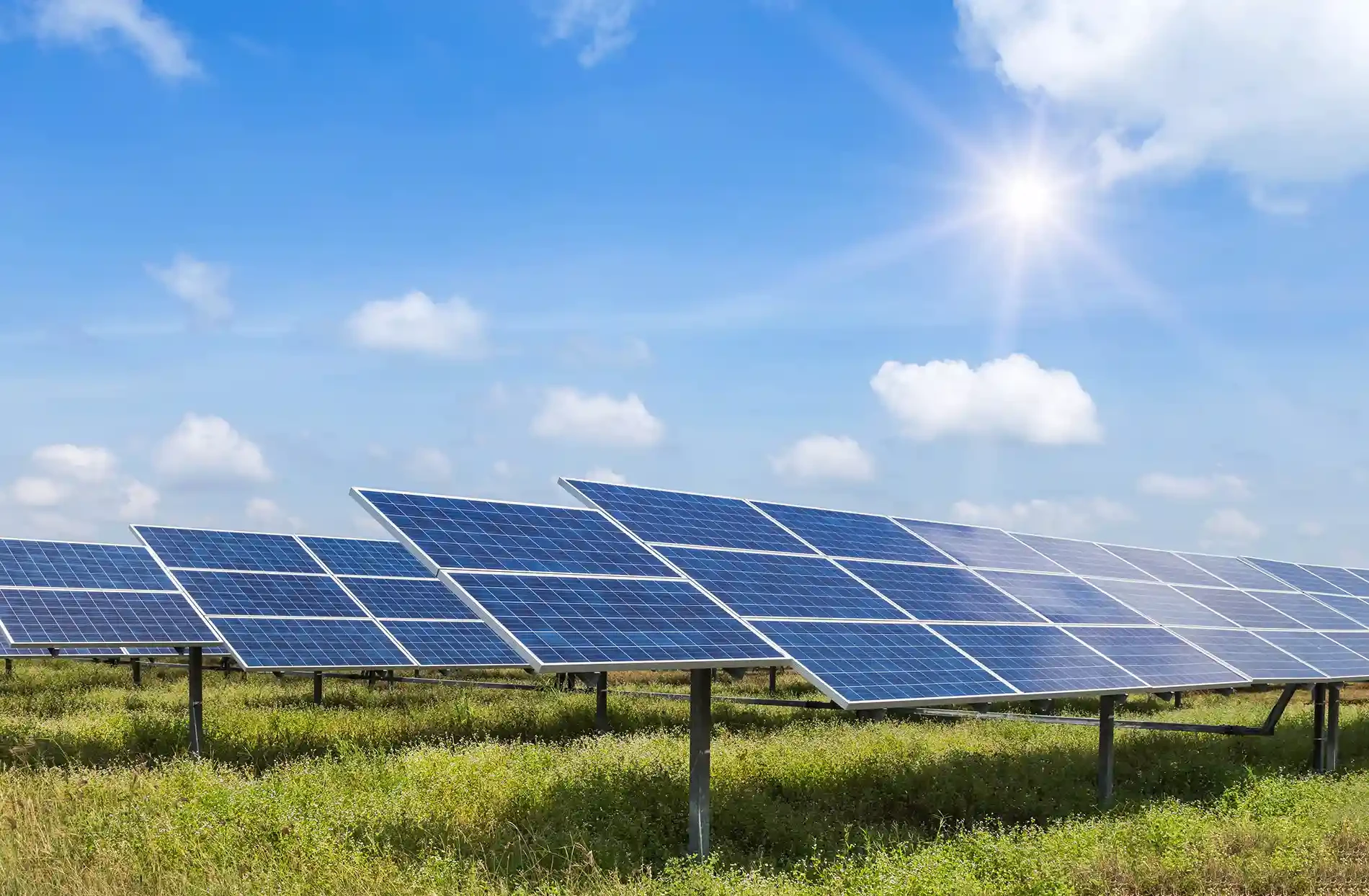 Freiflächen-Photovoltaikanlage auf einer Wiese bei Sonnenschein - nachhaltige Stromerzeugung mit PV-Modulen